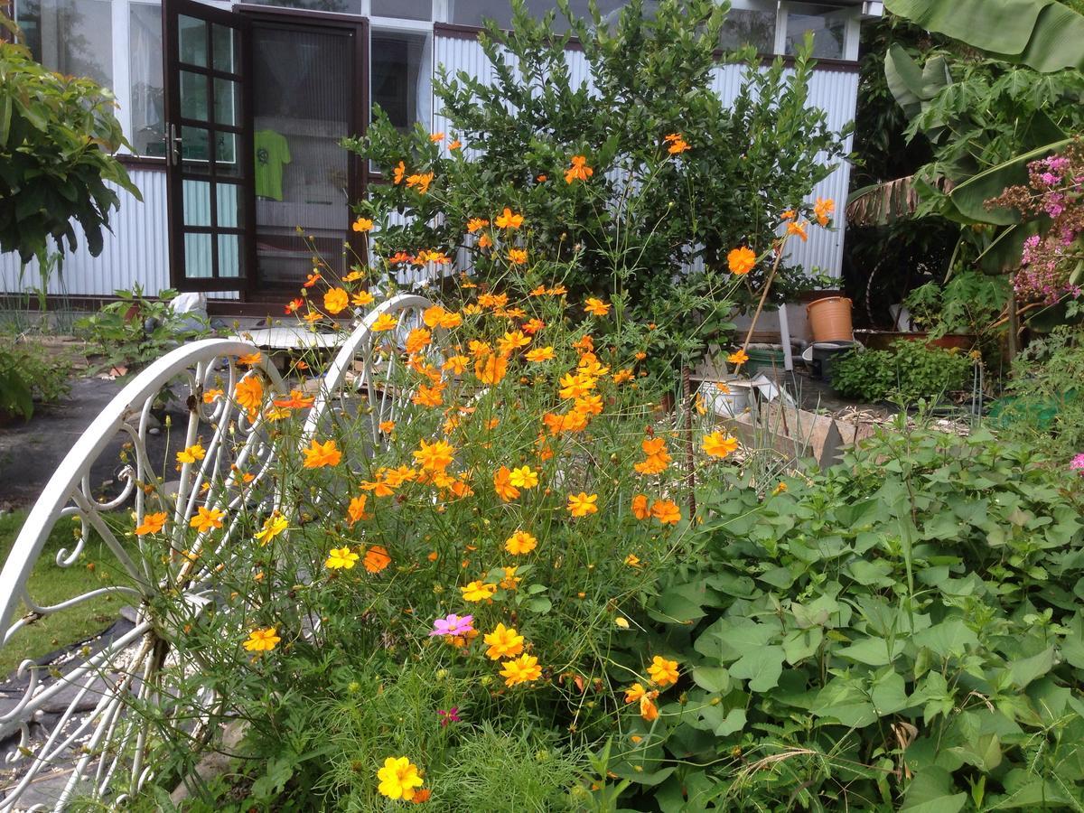 Hasayaki Homestay Sanxing Township Exterior foto